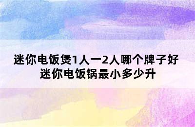 迷你电饭煲1人一2人哪个牌子好 迷你电饭锅最小多少升